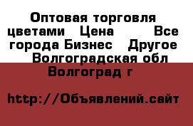 Оптовая торговля цветами › Цена ­ 25 - Все города Бизнес » Другое   . Волгоградская обл.,Волгоград г.